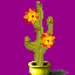 cactus in a yellow pot
