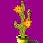 cactus in a yellow pot